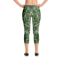 Rosemary 2 Capri Leggings