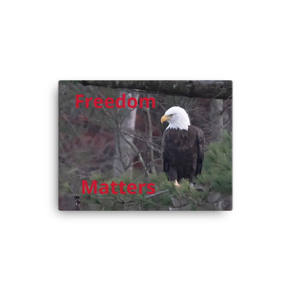 Freedom Matters Bald Eagle Canvas