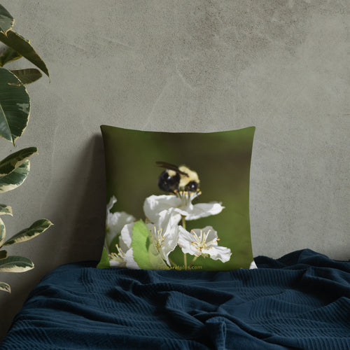 Apple Blossom Bee  Pillow