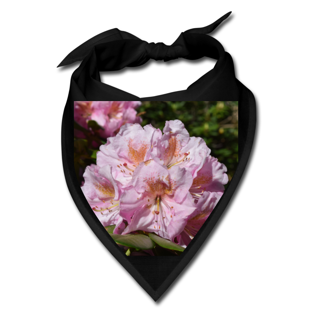 Pink Rhododendron Bandana - black