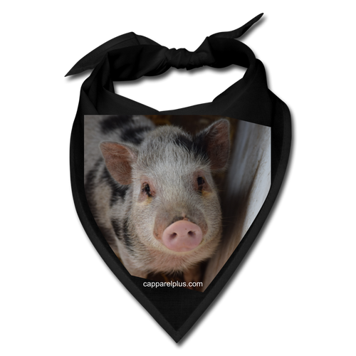 Pig Bandana - black